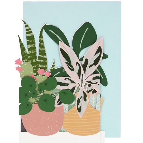 meri meri wenskaart planten | 205147 | 1