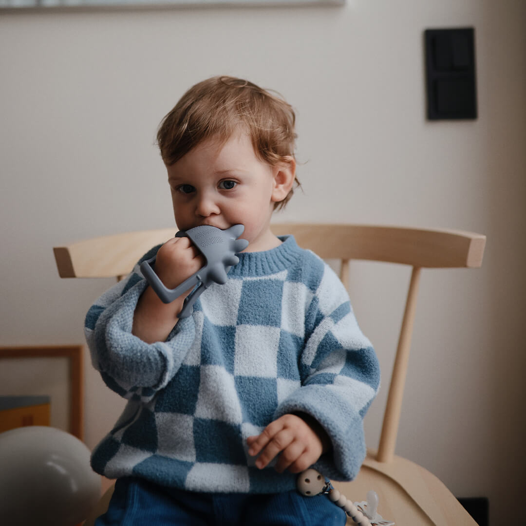 mushie bijtspeelgoed met handvat dino | 70.084.01 | 2