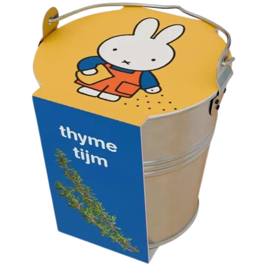 nijntje kweekset in zinken emmertje - tijm | 10116-NIJNTJE-TIJM | 0