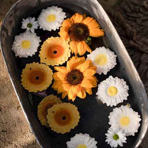 oli & carol bijt- & badspeelgoed madelief | L-DAISY-WHITE | 9