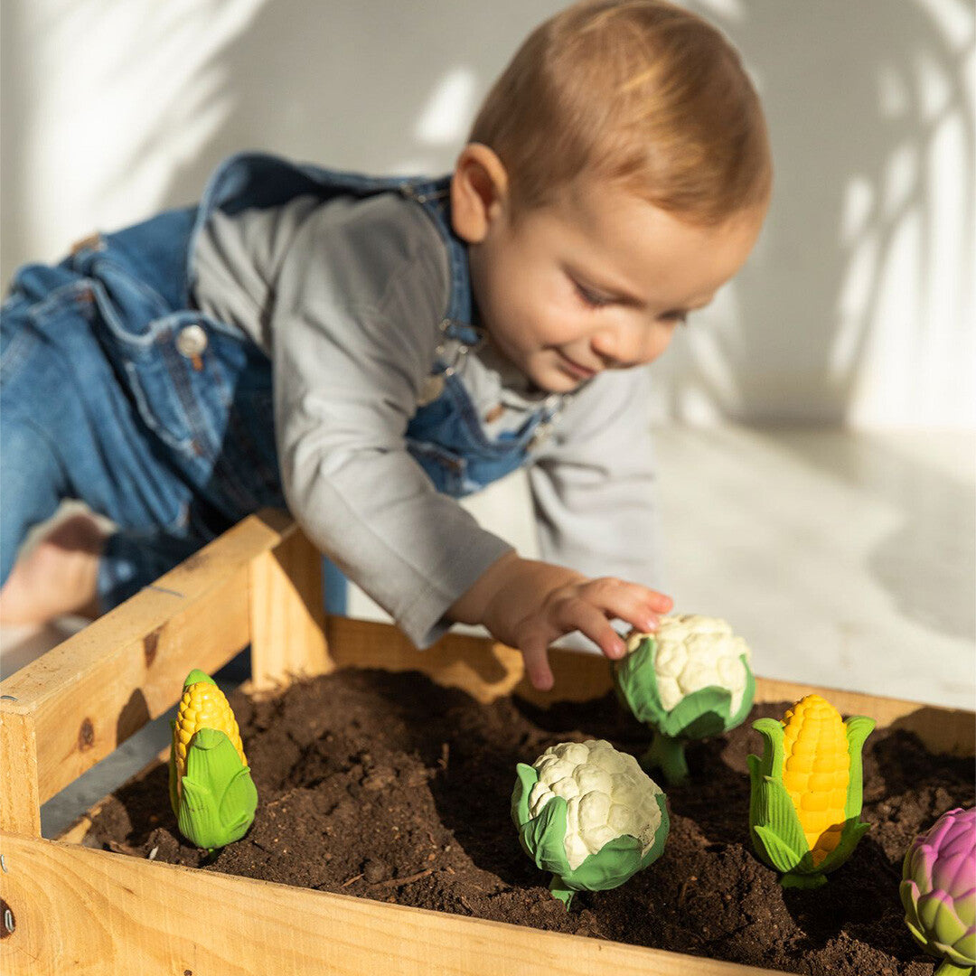 oli & carol rammelaar bloemkool | L-RATTLE-CAULIFLOWER | 3