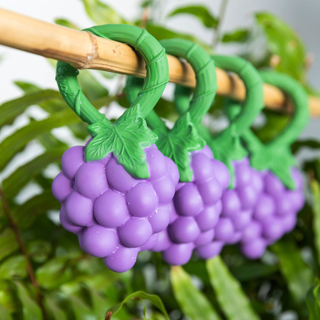 oli & carol rammelaar druiven | L-RATTLE-GRAPE | 2