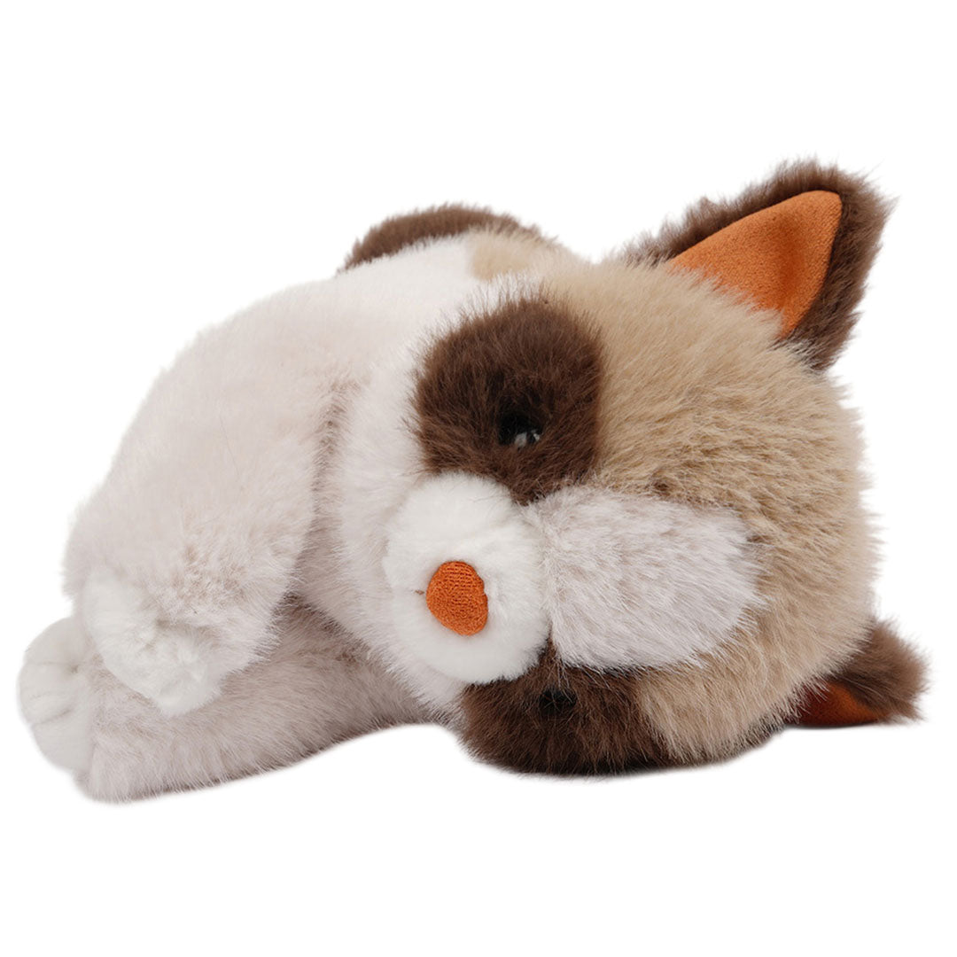one love verzwaarde knuffel - poes caramel - 31 cm | 5449711 | 11