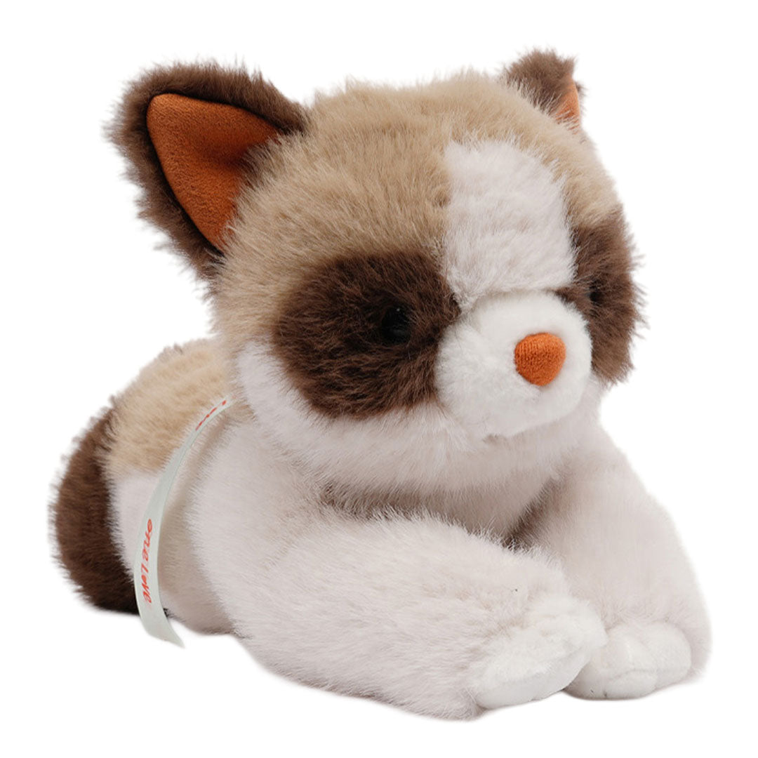 one love verzwaarde knuffel - poes caramel - 31 cm | 5449711 | 14