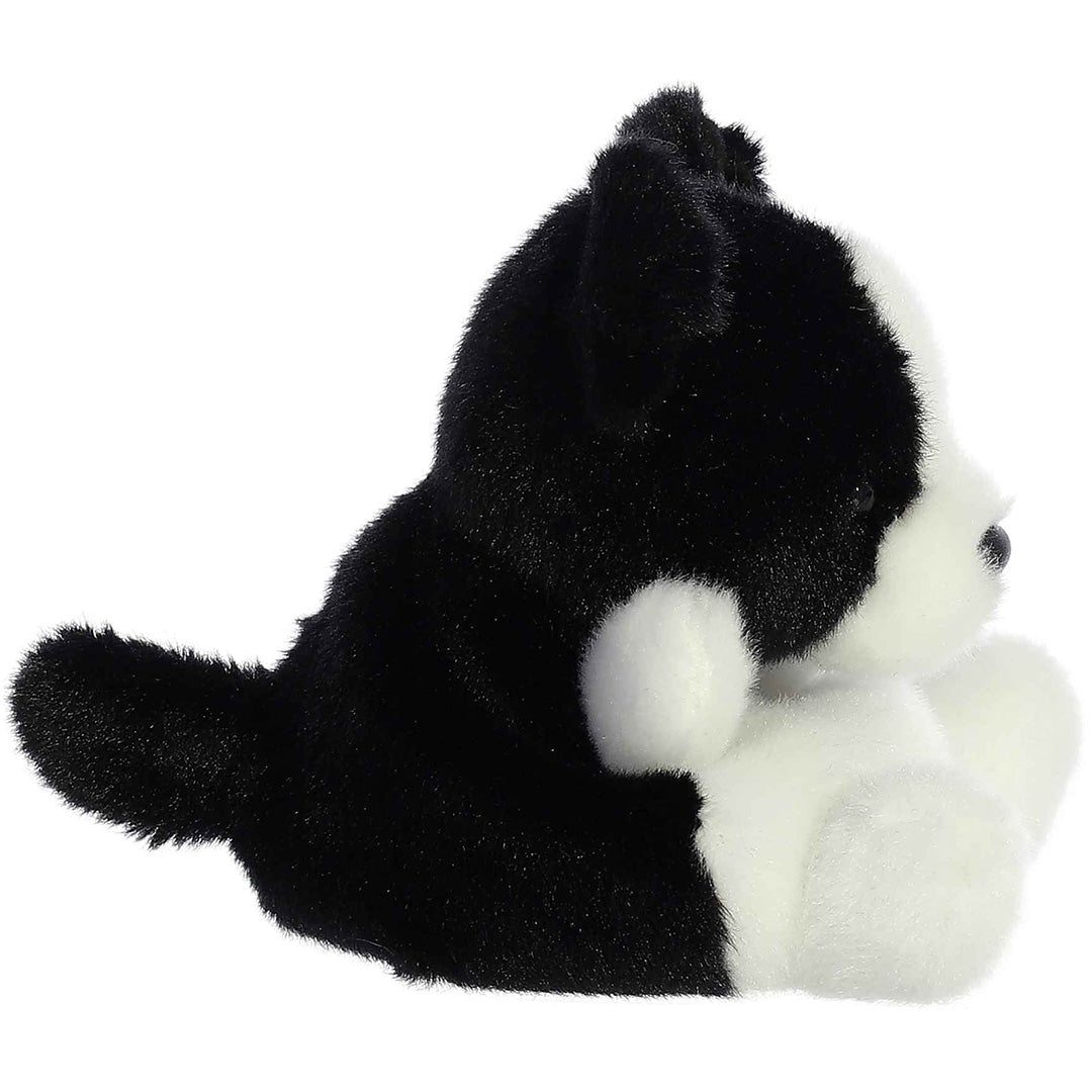 palm-pals-knuffelhond-brodie-collie-PP33534-2