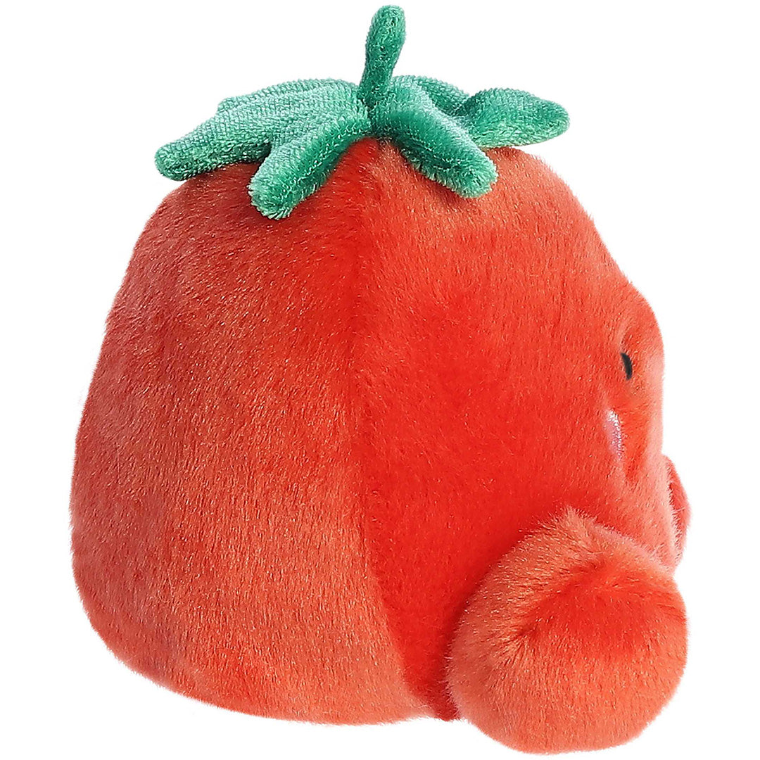 palm-pals-knuffeltomaat-boyd-13-cm-PP33792-2