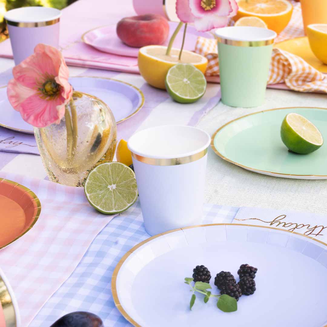 partydeco borden - pastel mix - 6st | TPP91 | 4