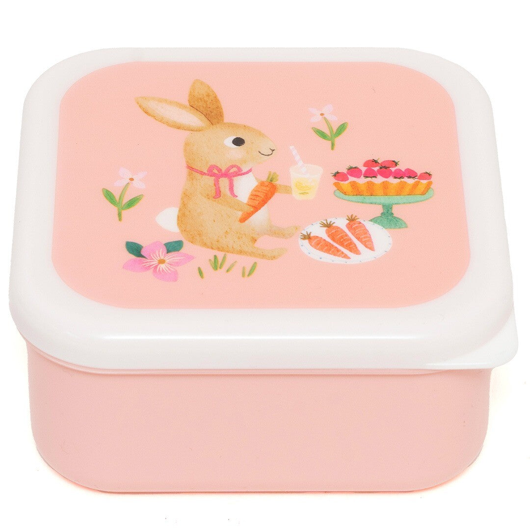 petit monkey snackdoosjes animals picnic - 3st | LB57 | 2