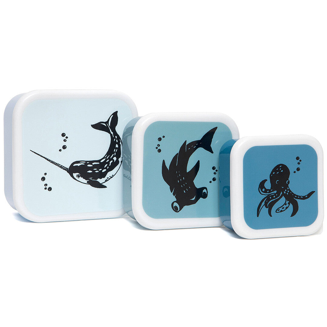 petit monkey snackdoosjes sea animals - 3st | LB21 | 0