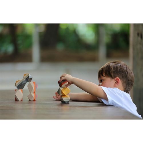 plan toys geometrische stapelblokken - 6st  | 5511 | 1