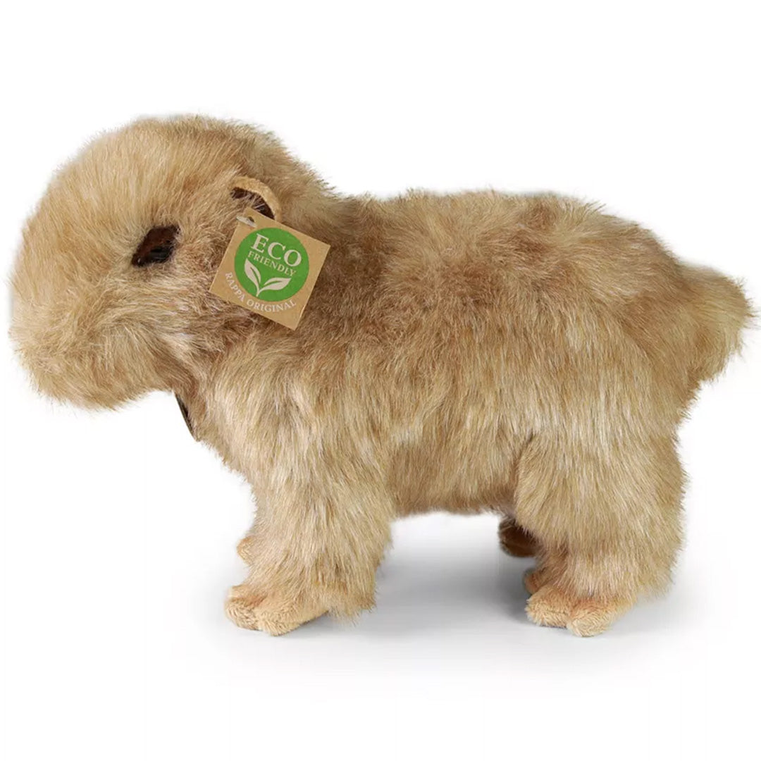 rappa knuffelcapibara - 30 cm | RAP230743 | 1