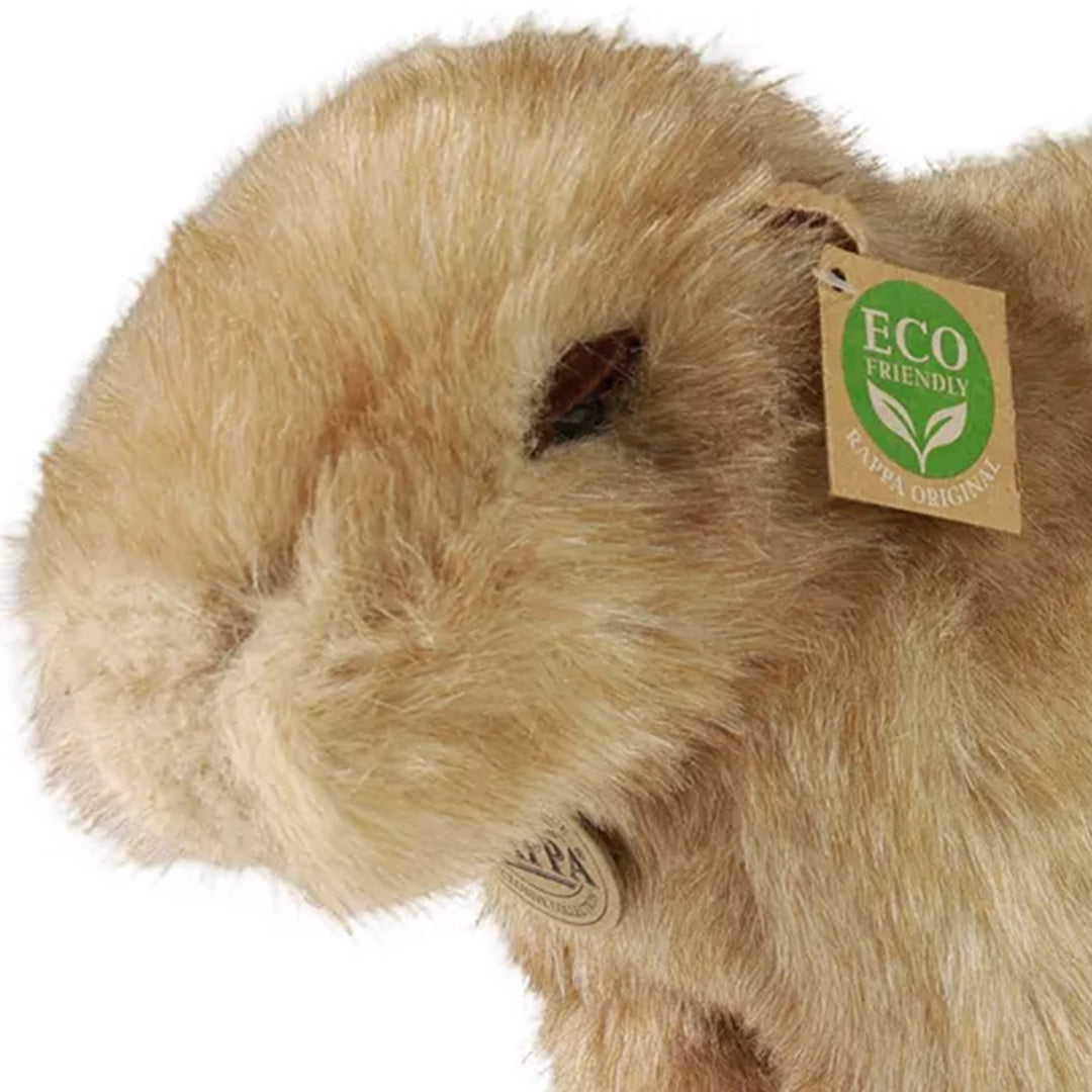 rappa knuffelcapibara - 30 cm | RAP230743 | 2