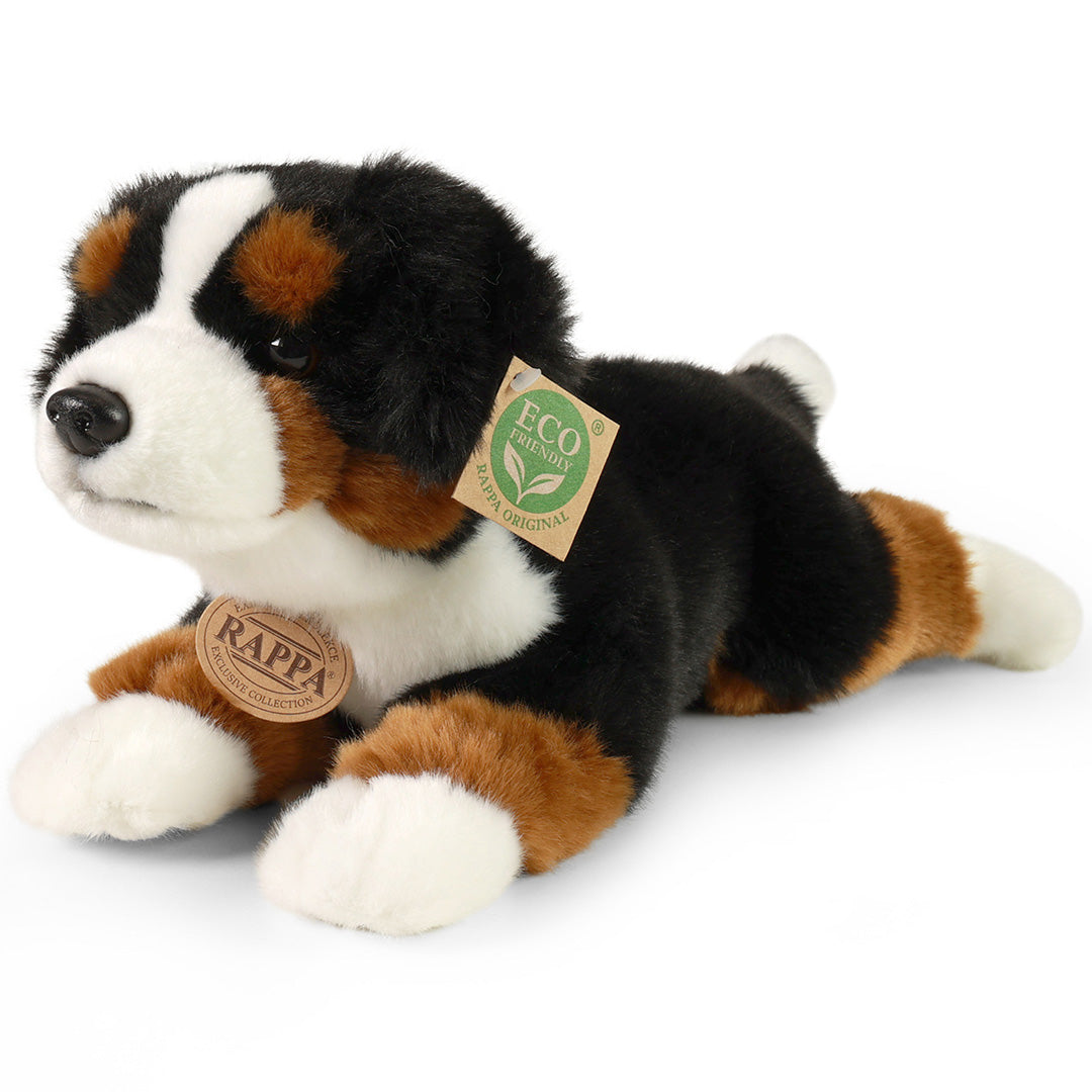 rappa-knuffelhond-berner-30-cm-RAP214286-1