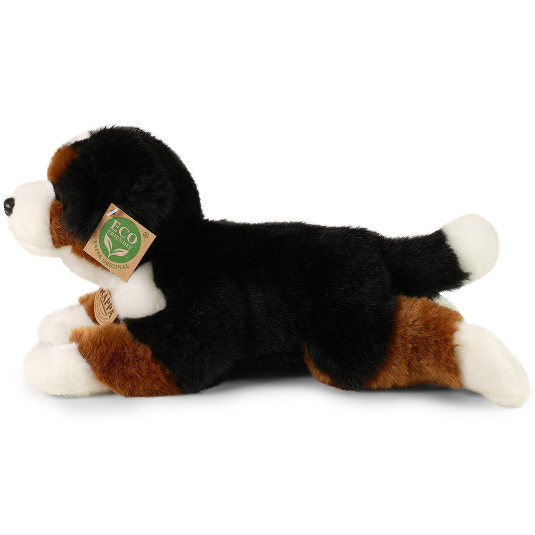 rappa-knuffelhond-berner-30-cm-RAP214286-3