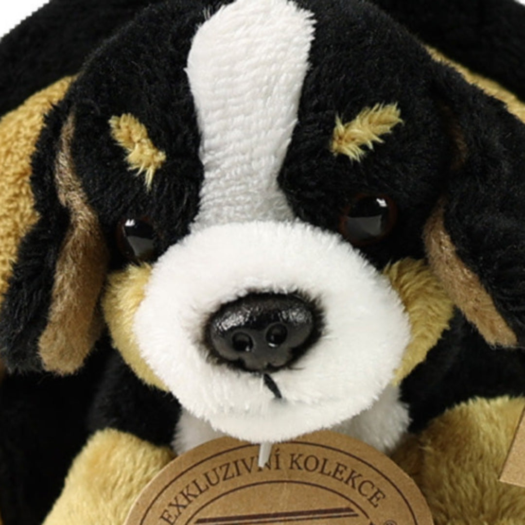 rappa-knuffelhond-berner-met-krat-15-cm-RAP211759-4