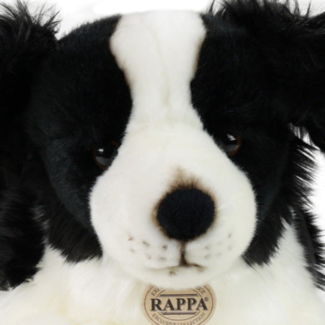 rappa-knuffelhond-border-collie-45-cm-RAP210196-4