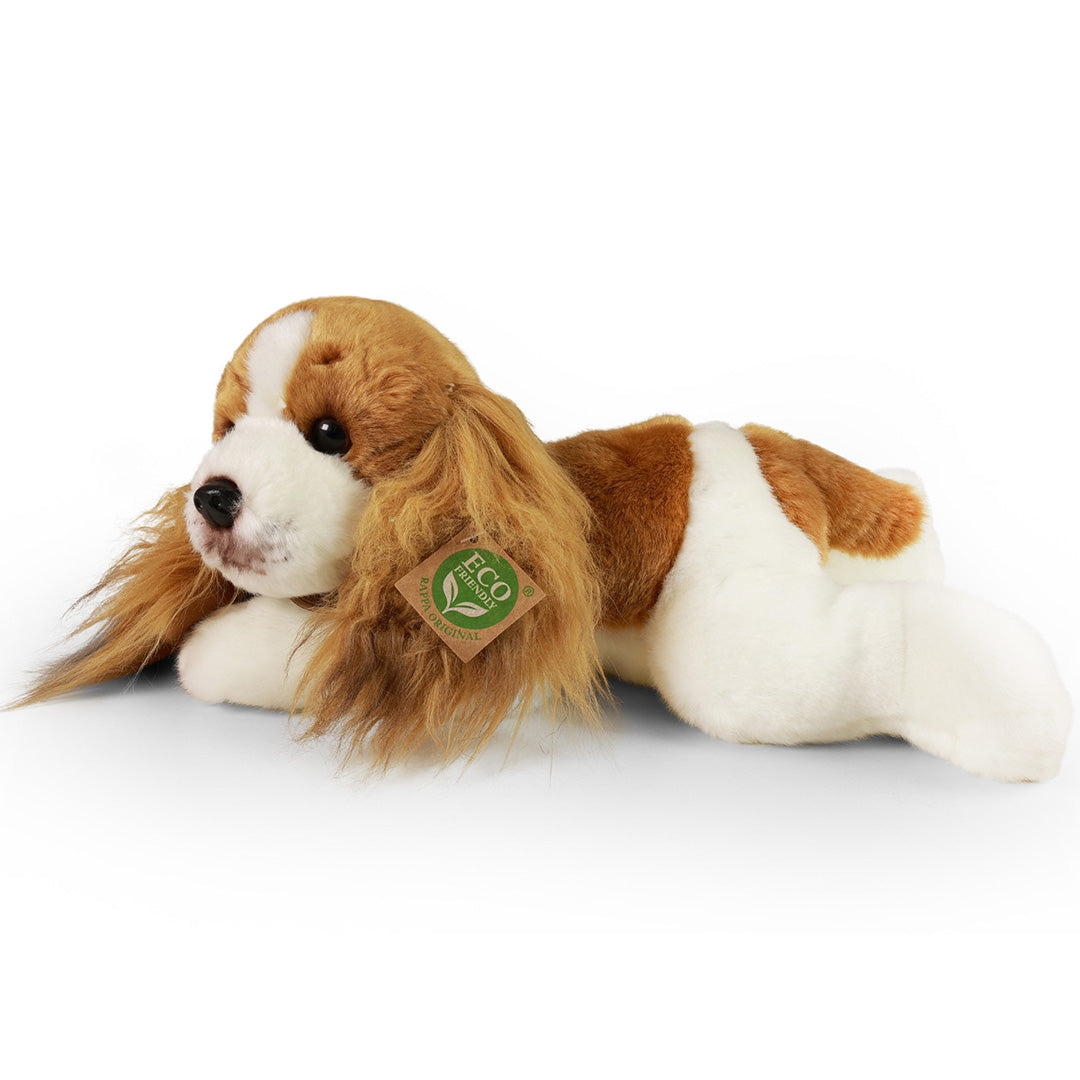 rappa-knuffelhond-cavalier-30-cm-RAP203976-1