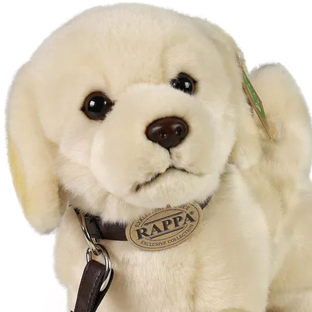 rappa knuffelhond golden retriever - 25 cm | RAP231009 | 1