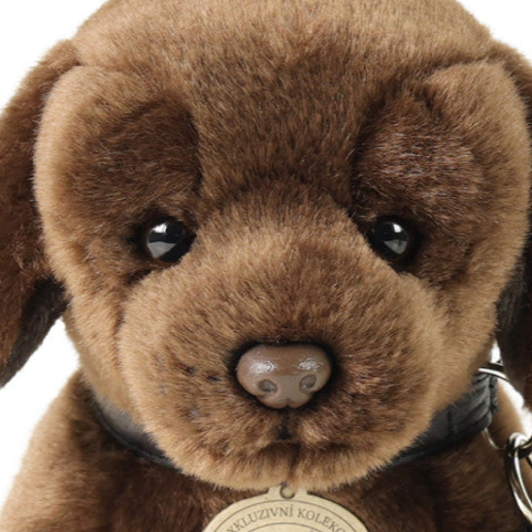 rappa-knuffelhond-labrador-25-cm-RAP230149-4