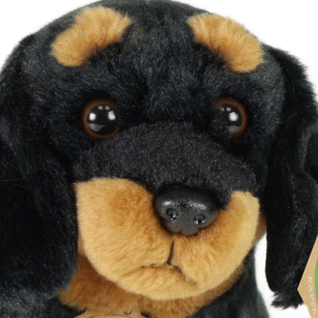 rappa-knuffelhond-teckel-30-cm-
RAP207547-4