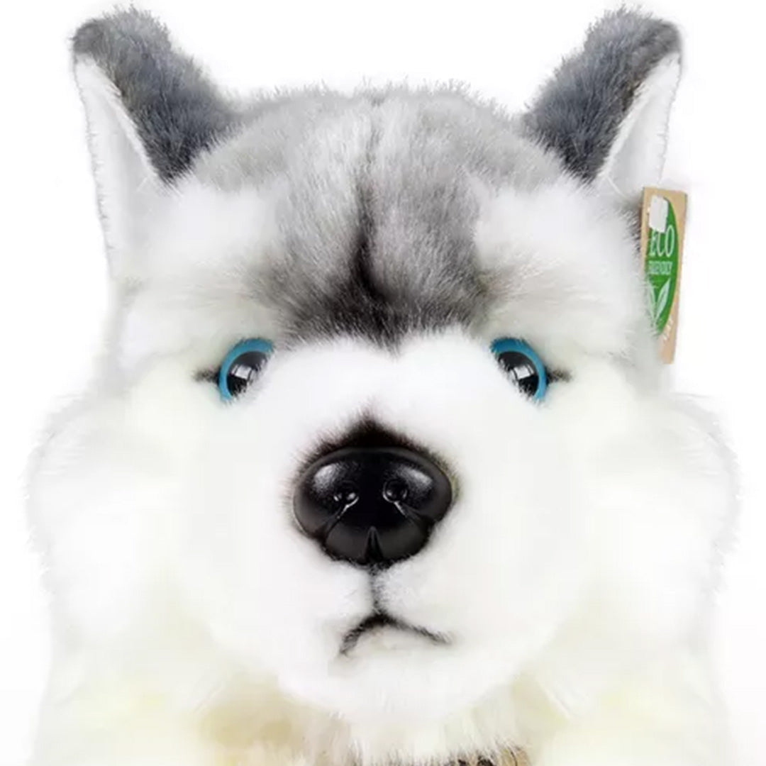 rappa-knuffelhond-husky-30-cm-RAP198975-2