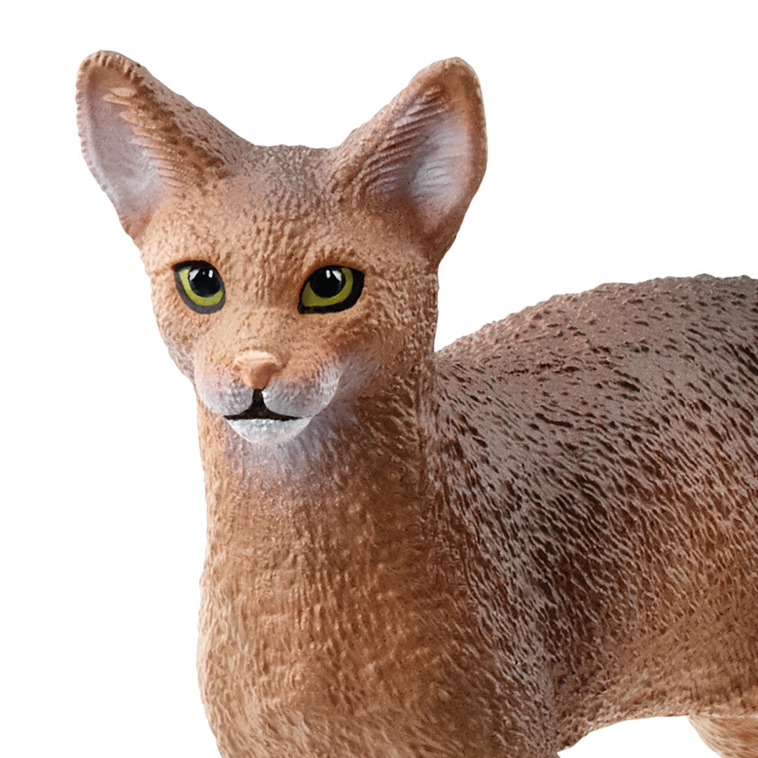 schleich farm world abessijn - 5,5 cm | 13964 | 1