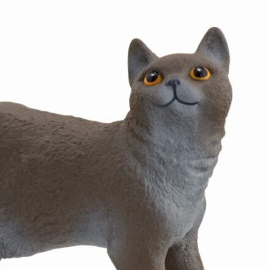 schleich farm world britse korthaar kat - 5,5 cm | 13973 | 1