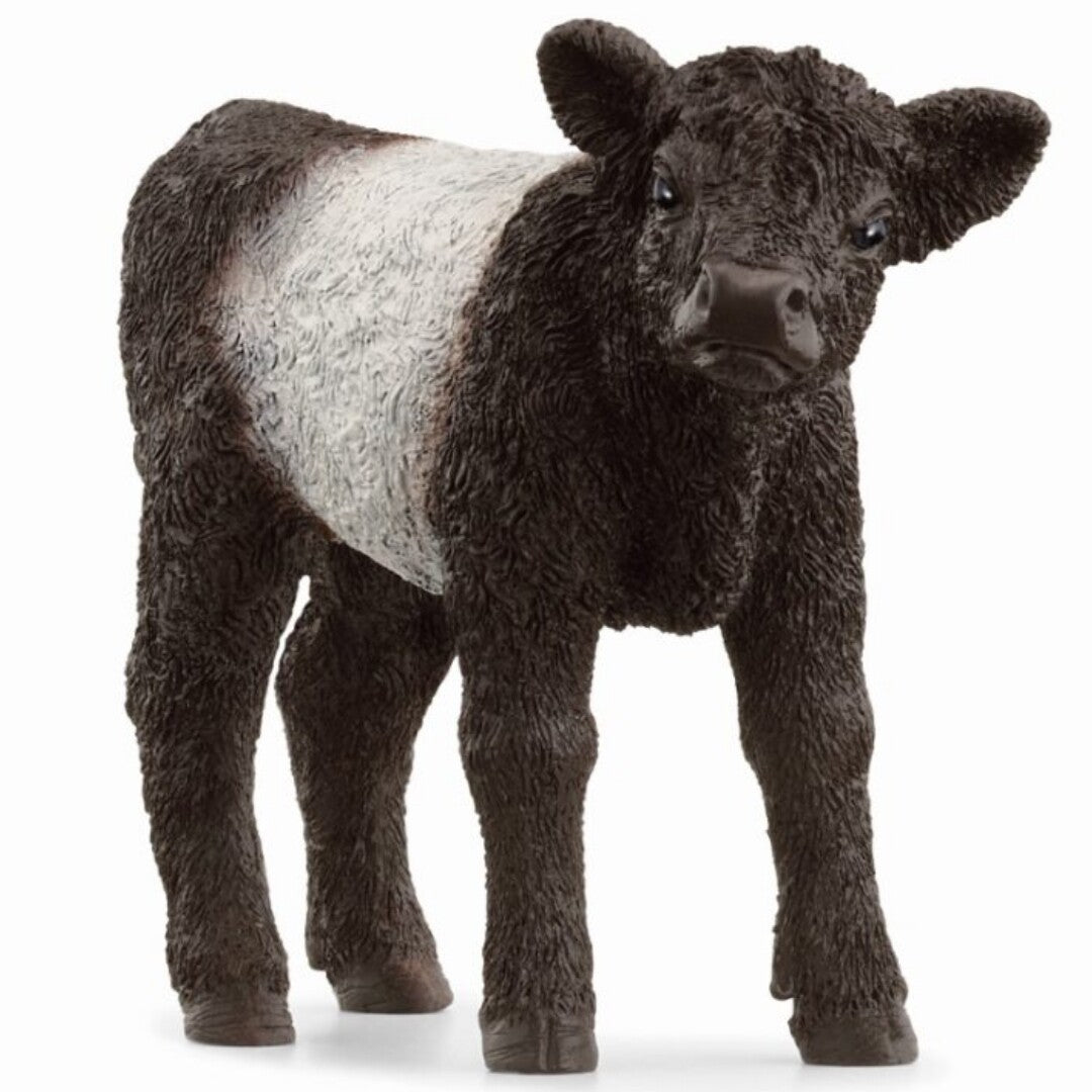 schleich farm world galloway kalf - 8 cm  | 13969 | 0