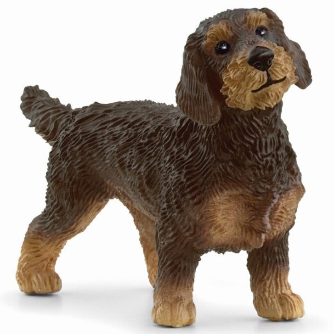 schleich farm world ruwharige teckel - 6,5 cm | 13972 | 0