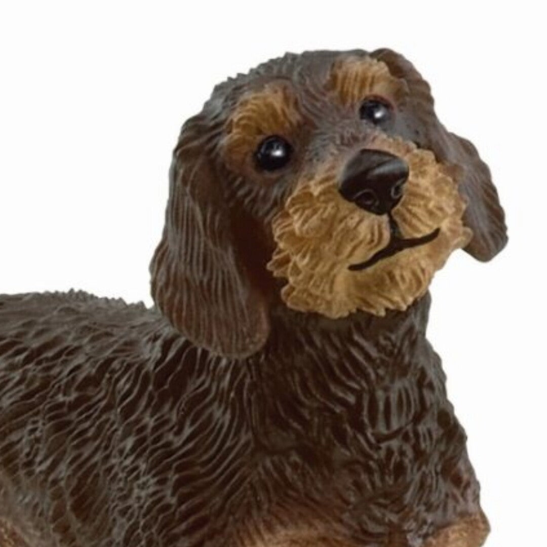 schleich farm world ruwharige teckel - 6,5 cm | 13972 | 1