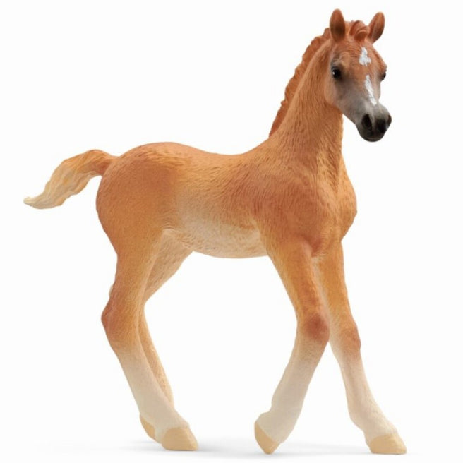 schleich horse club arabisch veulen - 8 cm | 13984 | 0