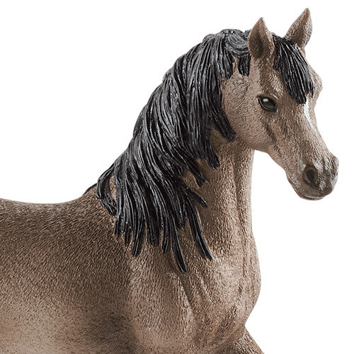 schleich horse club arabische hengst - 13 cm | 13907 | 1