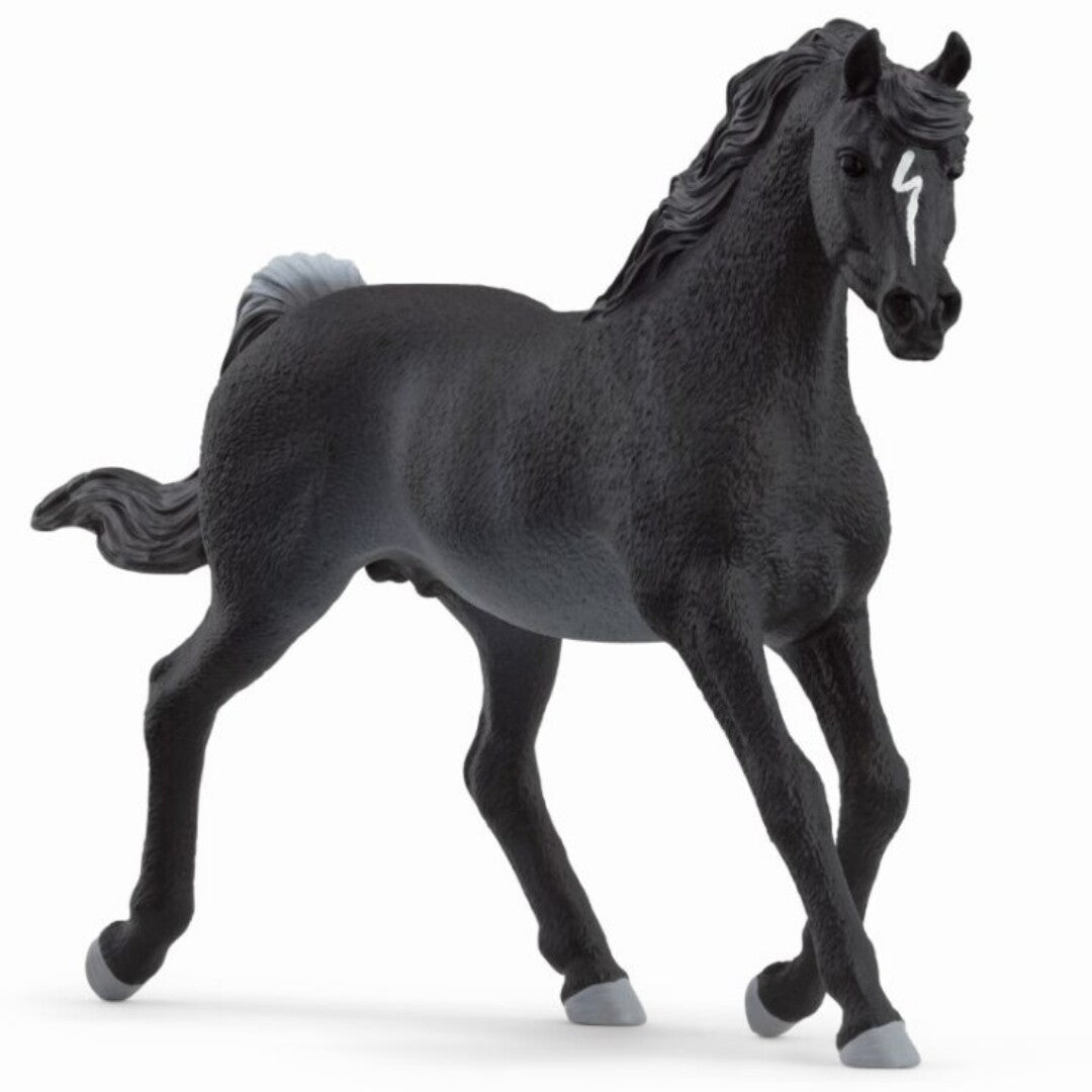 schleich horse club arabische hengst rabicano - 15,5 cm | 13981 | 0