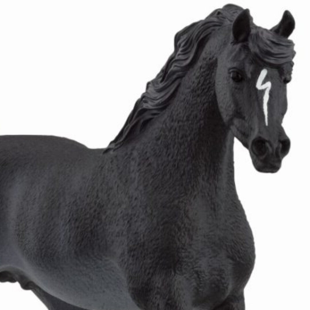 schleich horse club arabische hengst rabicano - 15,5 cm | 13981 | 1