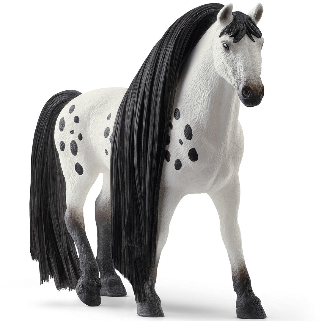 schleich horse club beauty horse - knabstrupper hengst | 42622 | 1