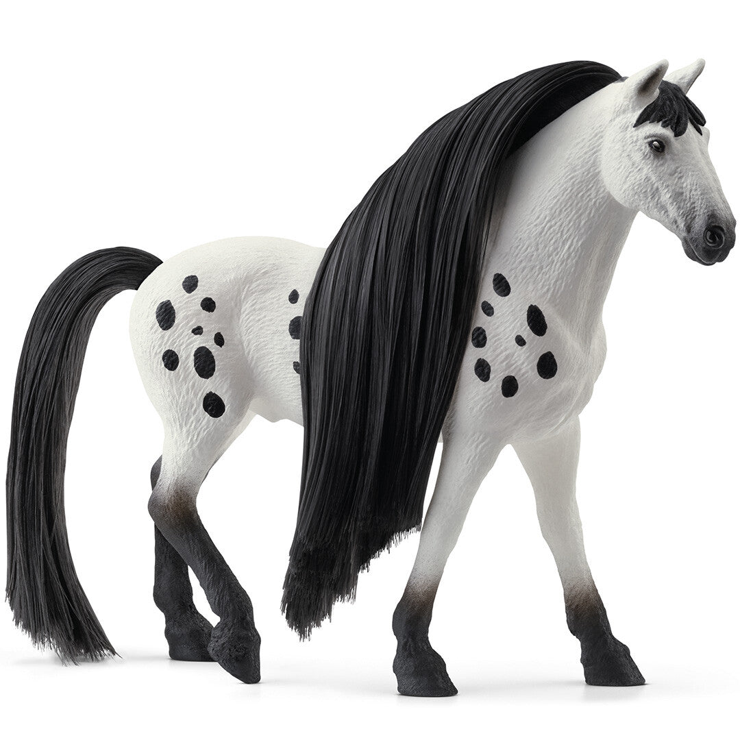 schleich horse club beauty horse - knabstrupper hengst | 42622 | 2