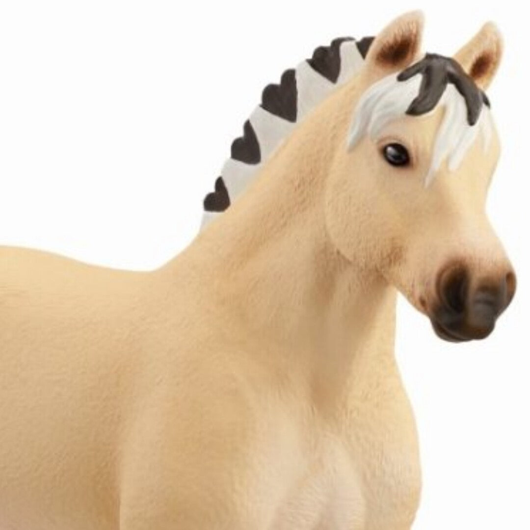 schleich horse club fjord merrie - 13,5 cm  | 13980 | 1
