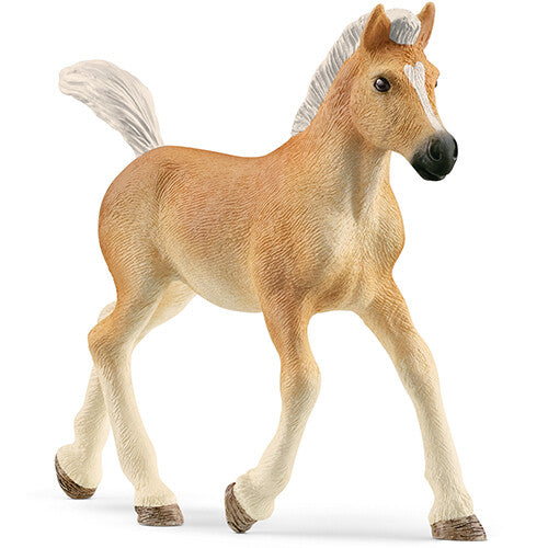 schleich horse club haflinger veulen - 9 cm | 13951 | 0