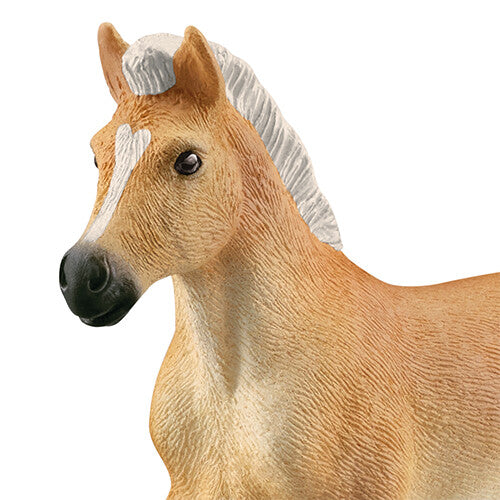 schleich horse club haflinger veulen - 9 cm | 13951 | 1