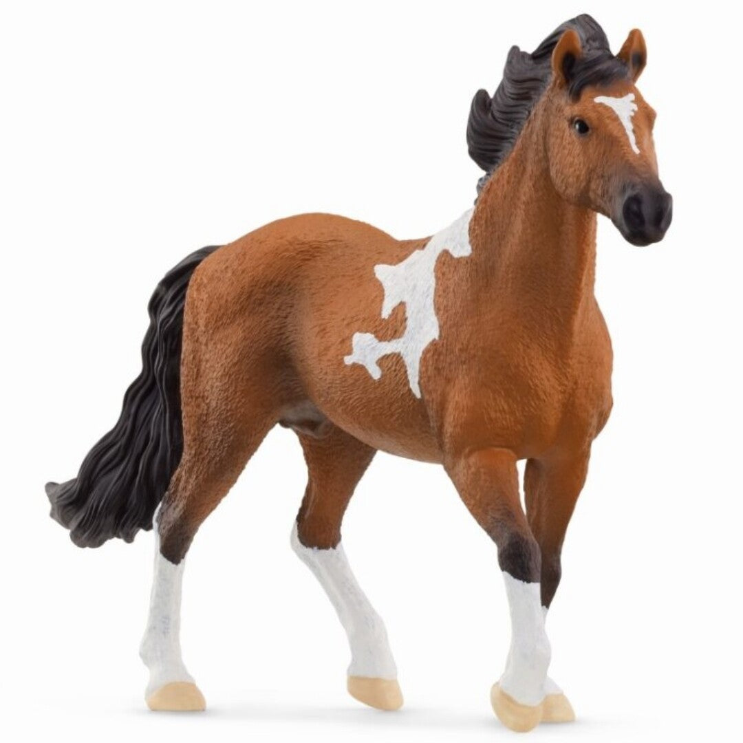 schleich horse club mangalarga marchador hengst - 17 cm | 13978 | 0