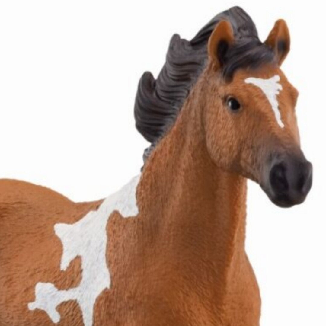 schleich horse club mangalarga marchador hengst - 17 cm | 13978 | 1