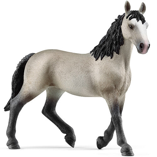 schleich horse club selle français merrie - 15 cm  | 13955 | 0