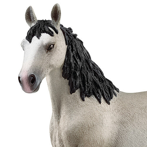 schleich horse club selle français merrie - 15 cm  | 13955 | 1