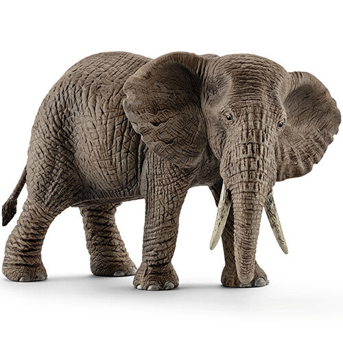 schleich wild life afrikaanse olifantenkoe - 14,5 cm | 14761 | 0