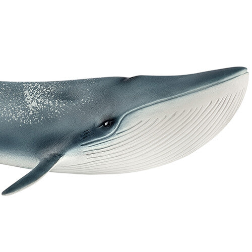 schleich wild life blauwe vinvis - 27,5 cm | 14806 | 1