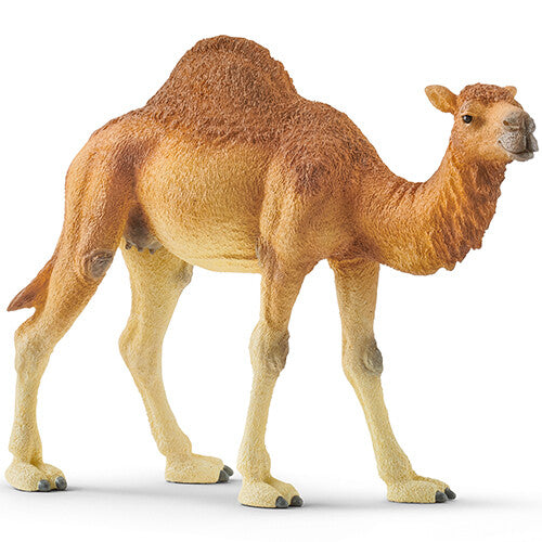 schleich wild life dromedaris - 14 cm | 14832 | 0