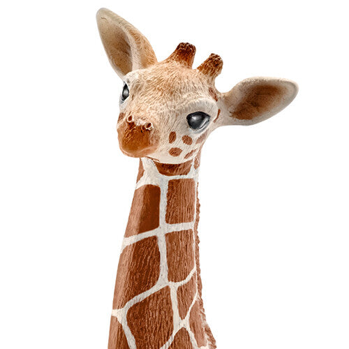 schleich wild life giraffenkalf - 12 cm | 14751 | 1