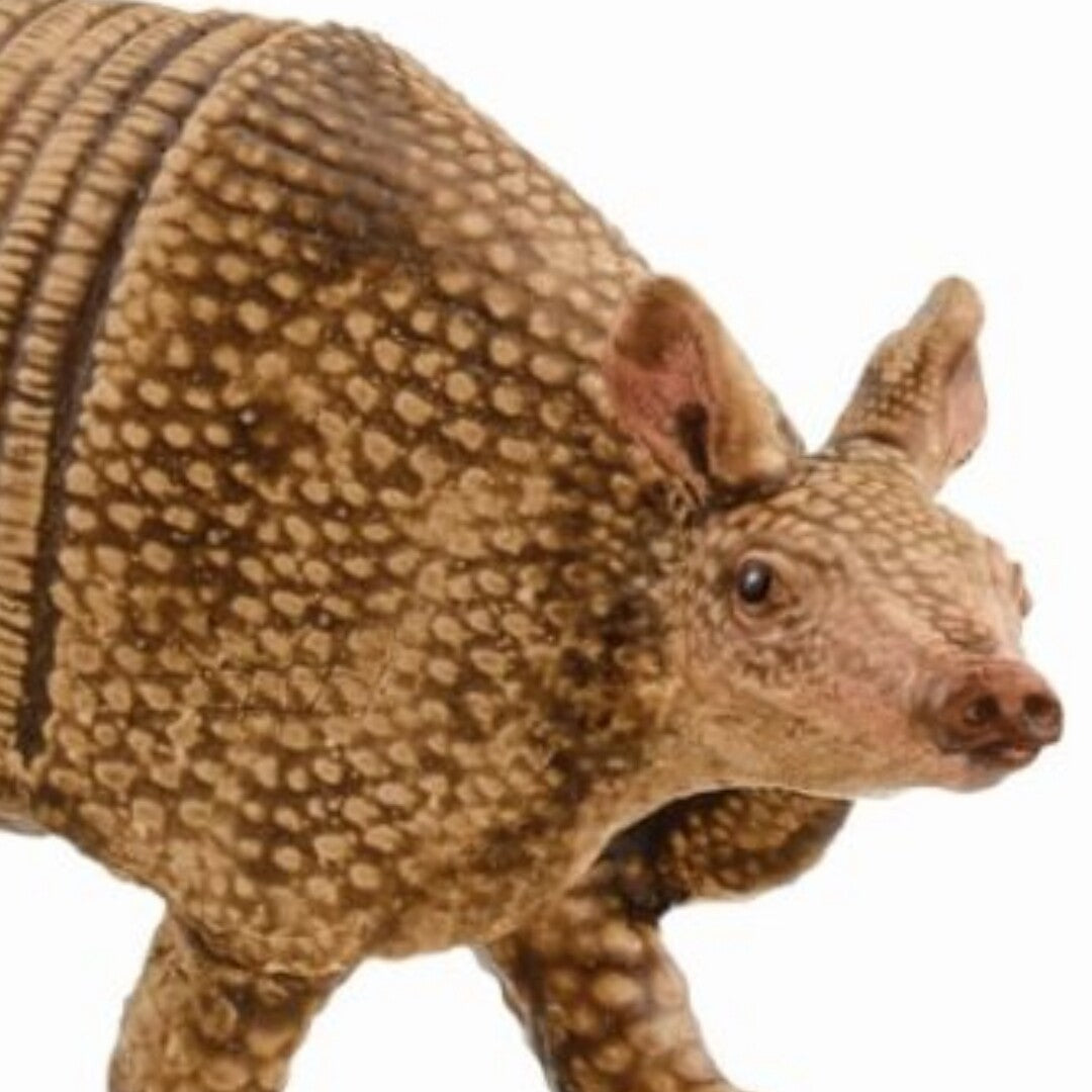 schleich wild life gordeldier - 7,5 cm | 14874 | 1