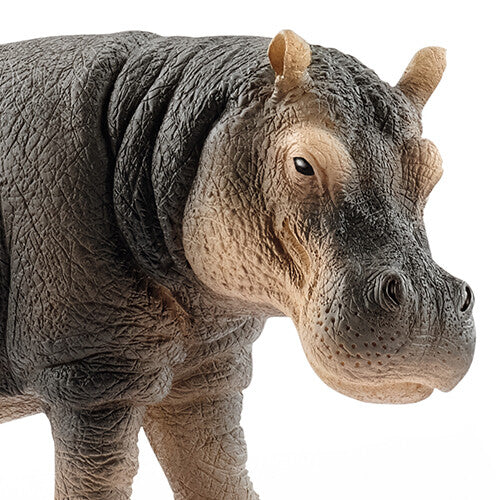 schleich wild life nijlpaard - 13 cm | 14814 | 1