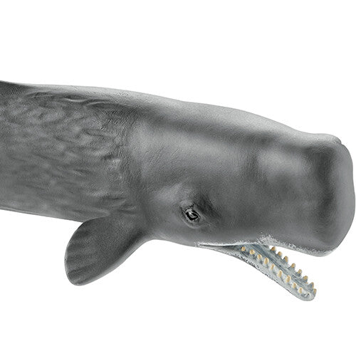 schleich wild life potvis - 23,5 cm | 14764 | 1